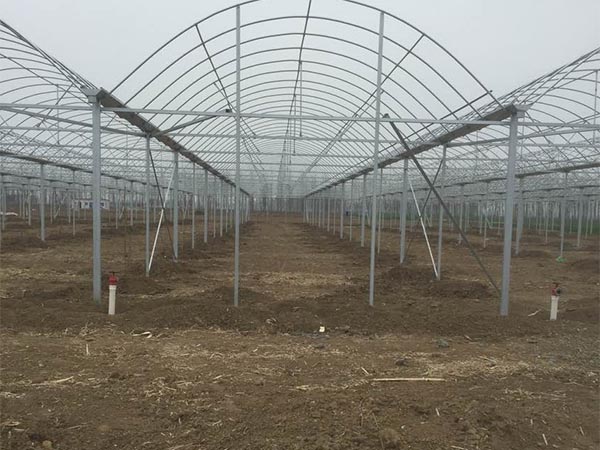 棚膜連棟大棚11