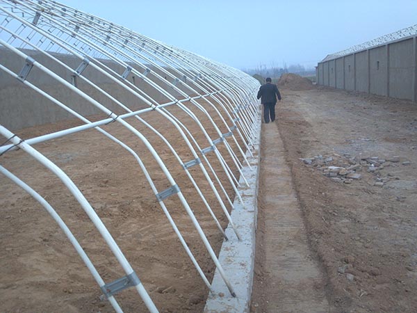 溫室大棚8