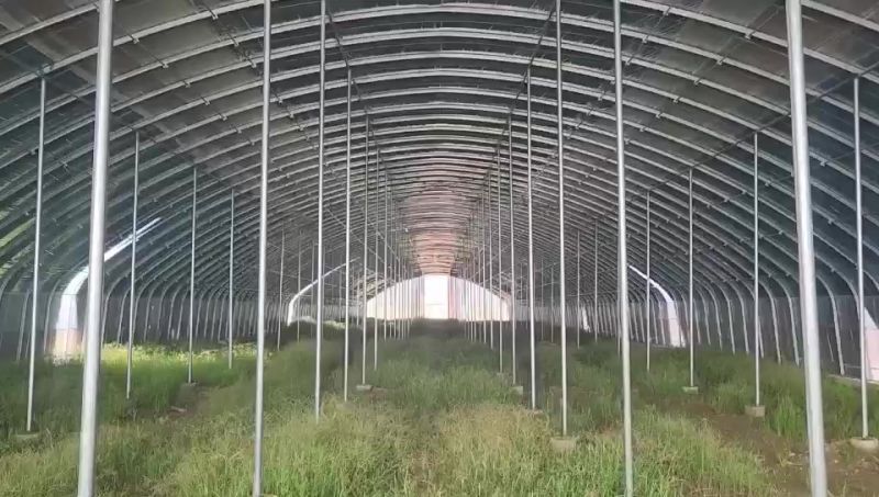 永昌大棚，好質(zhì)量看得見